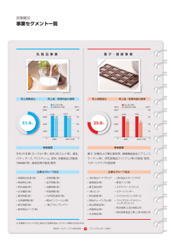 51.4% 25.0% 事業セグメント一覧