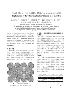 MEGを用いた「蛇の回転」錯視のメカニズムの解明