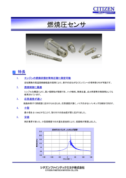 Microsoft PowerPoint - CPS\203J\203^\203\215\203O2010.ppt