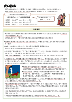 犬の散歩