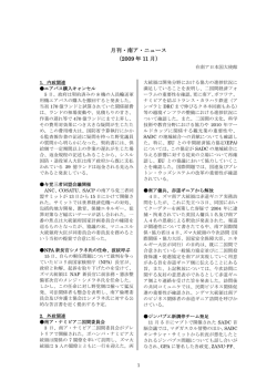 月刊・南ア・ニュース （2009 年 11 月）