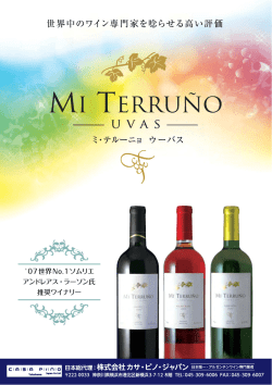 flier3-CS1-outline.ai