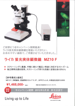 ご好評につきキャンペーン期間延長! ー・離=