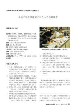 きのこ写生図作成にあたっての諸注意