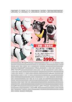 【唯一の】 犬 介護服,犬 服 エアバルーン 送料無料 シーズン最後に処理する