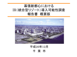 調査報告書概要版 (4.16MB）PDF