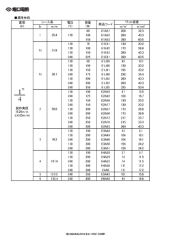 標準仕様 In m/m w/in&sup2; w/cm&sup2; 80 E1A51 208 32.3 100 E1A52 260