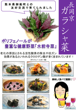 長岡京ガラシャ菜レシピ (ファイル名：recipe サイズ：727.47KB)