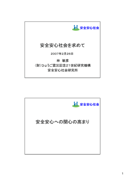 資料：PDF/17pages/394KB