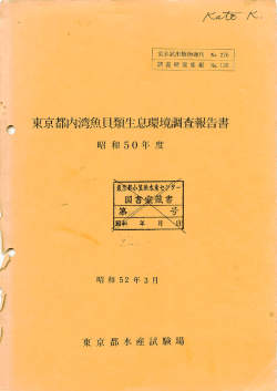 132 [10896KB pdfファイル]