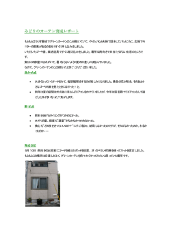 みどりのカーテン育成レポート・Dさんの事例