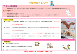犬の避妊手術について - 成田どうぶつ病院 黒石