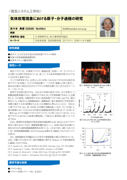 気体放電現象における原子・分子過程の研究