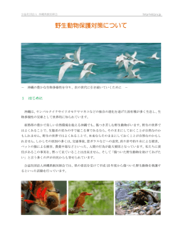 野生動物保護対策について