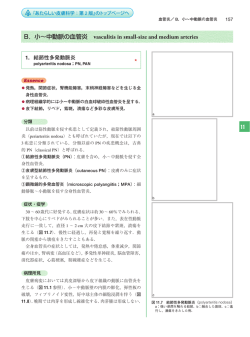 11 B．小〜中動脈の血管炎 vasculitis in small