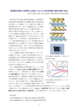 新規超伝導体の母物質 CeOBiS2 における非従来型