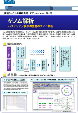 ゲノム解析 - ウェブカタログ｜タカラバイオ株式会社 遺伝子工学研究