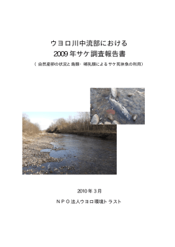ウヨロ川中流部における2009年サケ調査報告書 (PDFファイル)