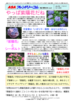 やっぱ紫陽花だね