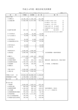 平成24年度一般会計収支決算書