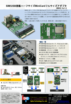 SIM/USB搭載ハーフサイズMiniCardフルサイズアダプタ
