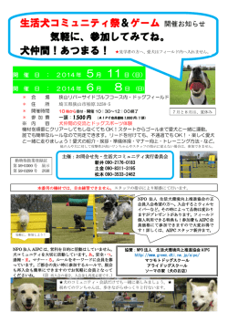 生活犬コミュニティ祭＆ゲーム 開催お知らせ 気軽に、参加してみてね