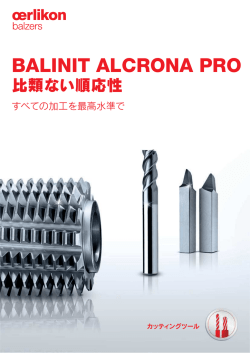 日本語 (638,73 KB , PDF-File)