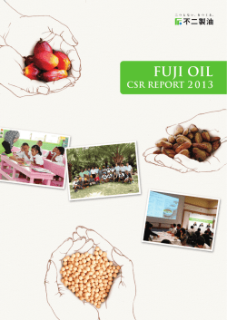 2013年版（13.8MB） - 不二製油グループ本社株式会社