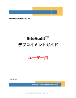 SiteAudit - Netaphor SiteAudit(TM) Knowledgebase
