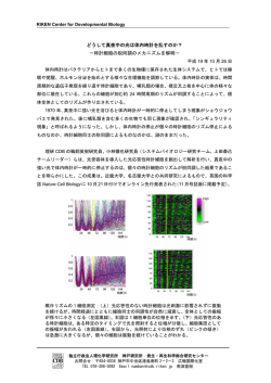 RIKEN Center for Developmental Biology どうして真夜中の光は体内