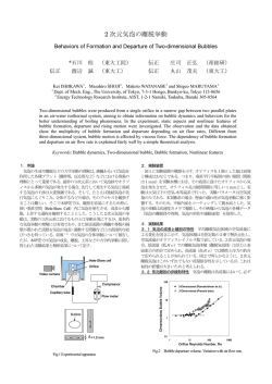 2 次元気泡の離脱挙動