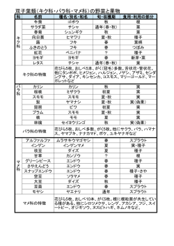 双子葉類（キク科・バラ科・マメ科）の野菜と果物