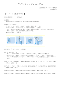 ラインジャッジマニュアル