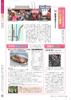 24ページ（PDF：907.2KB）