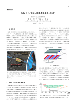 Belle II シリコン崩壊点検出器 (SVD)