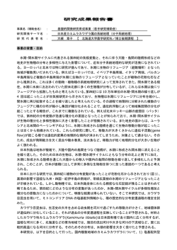 研究成果報告書
