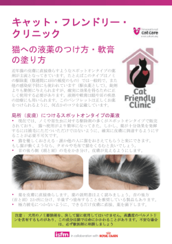 猫への液薬のつけ方・軟膏の塗り方