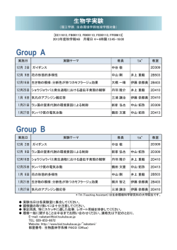 Group B