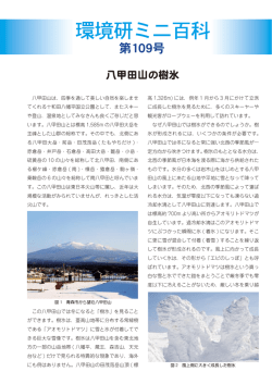 八甲田山の樹氷 - 環境科学技術研究所