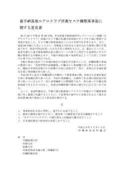 嘉手納基地エアロクラブ所属セスナ機墜落事故に 関する意見書