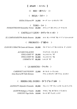 スペイン チリ アルゼンチン（PDF）