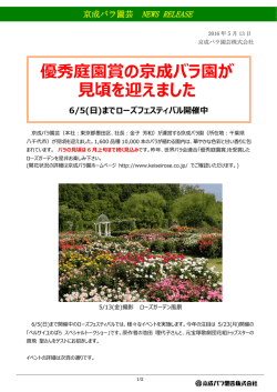 優秀庭園賞の京成バラ園が 見頃を迎えました