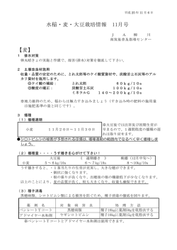 水稲・麦・大豆栽培情報 11月号