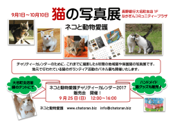 猫の写真展 - 長野銀行