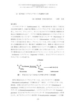 2）尿中総イソチオシアネート代謝物の分析