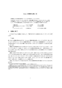 Mule の簡単な使い方 1 起動と終了