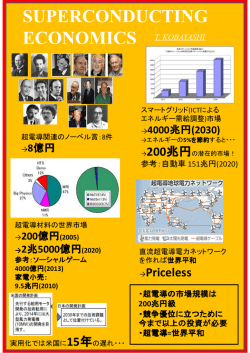 SUPERCONDUCTING ECONOMICS