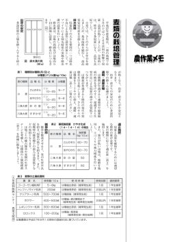 【10月】麦類の栽培管理