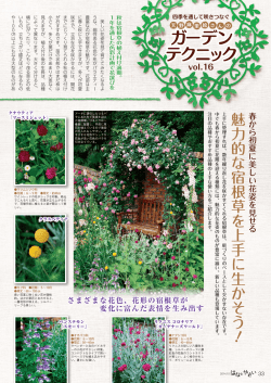 魅力的な宿根草を上手に生かそう ！