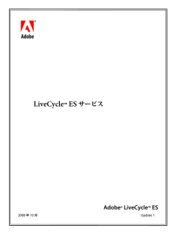 LiveCycle ES